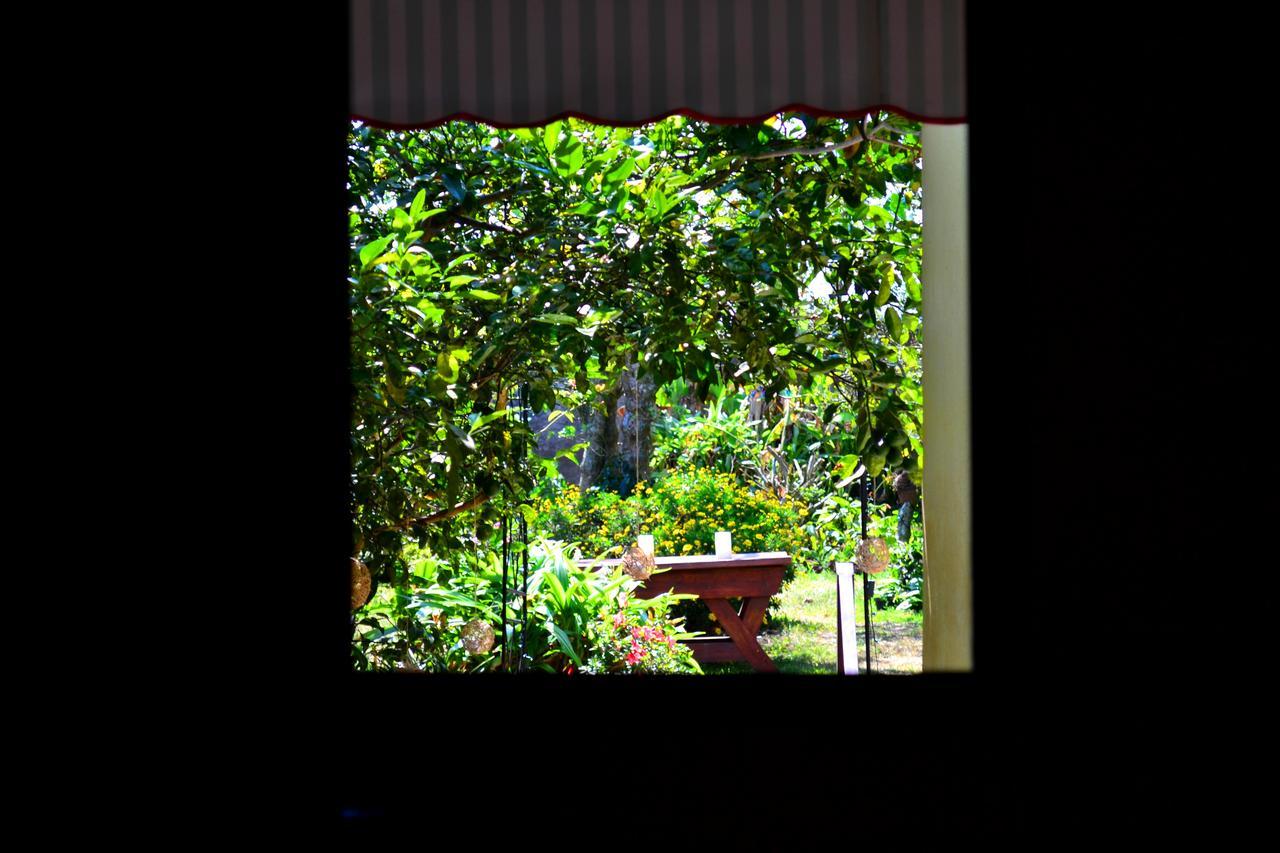 Hotel Casa Aura Cartago Exteriér fotografie