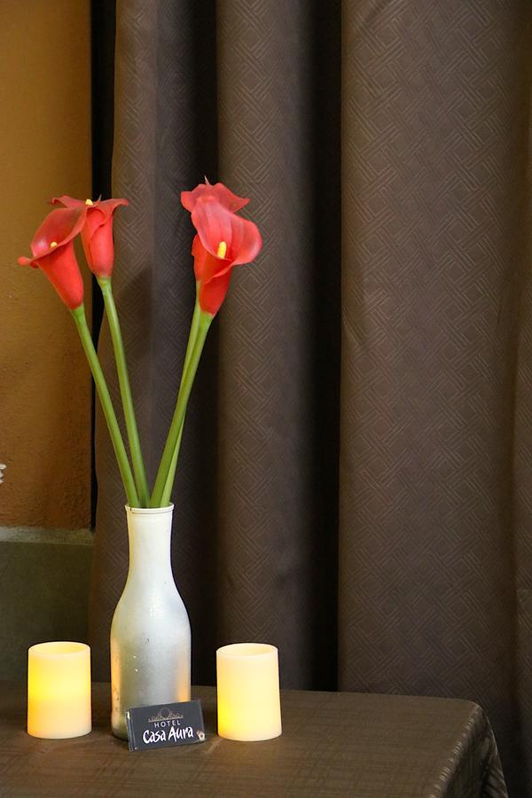 Hotel Casa Aura Cartago Exteriér fotografie