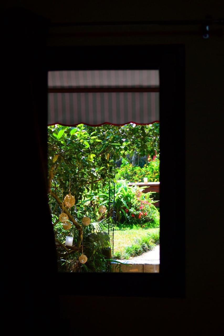 Hotel Casa Aura Cartago Exteriér fotografie